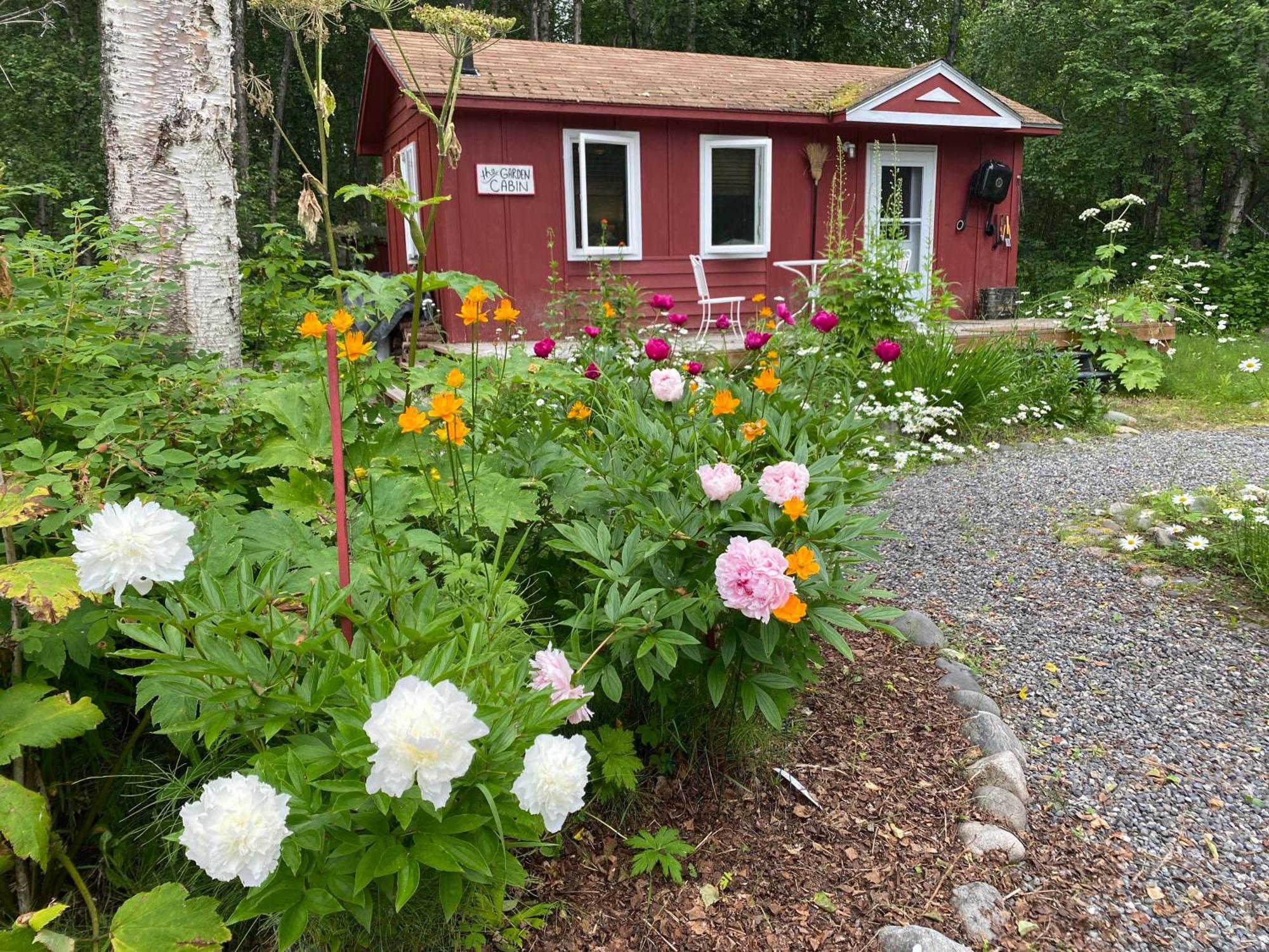 Trapper John'S Cabin & Cottages Талкитна Экстерьер фото