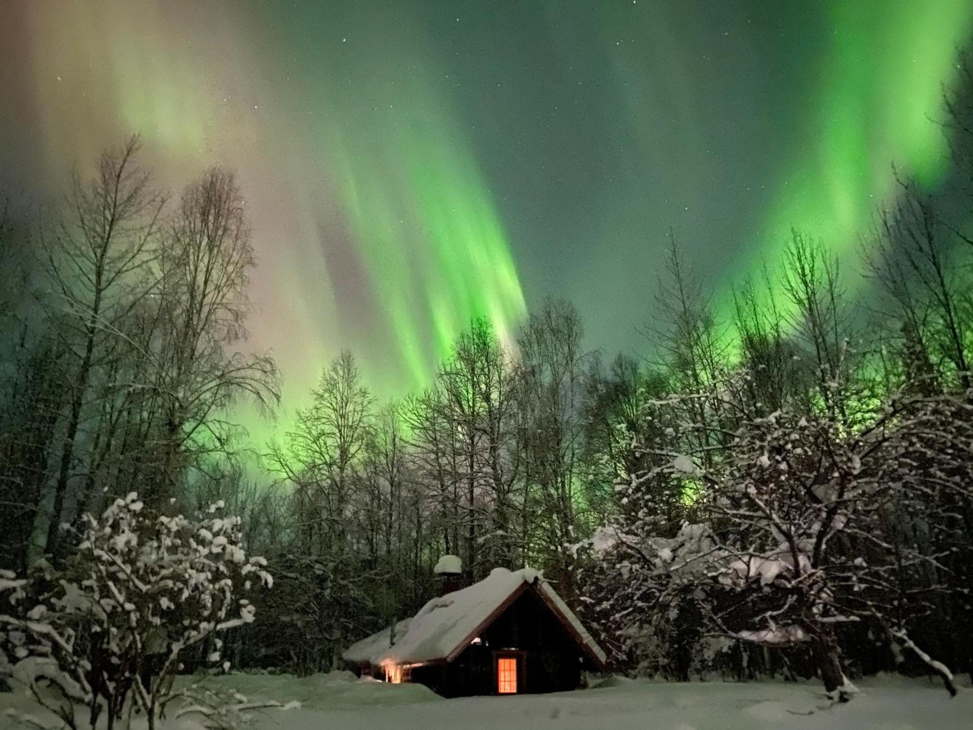 Trapper John'S Cabin & Cottages Талкитна Экстерьер фото