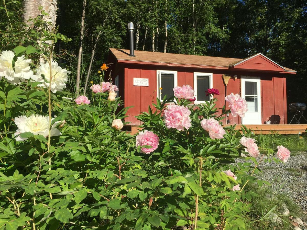 Trapper John'S Cabin & Cottages Талкитна Экстерьер фото
