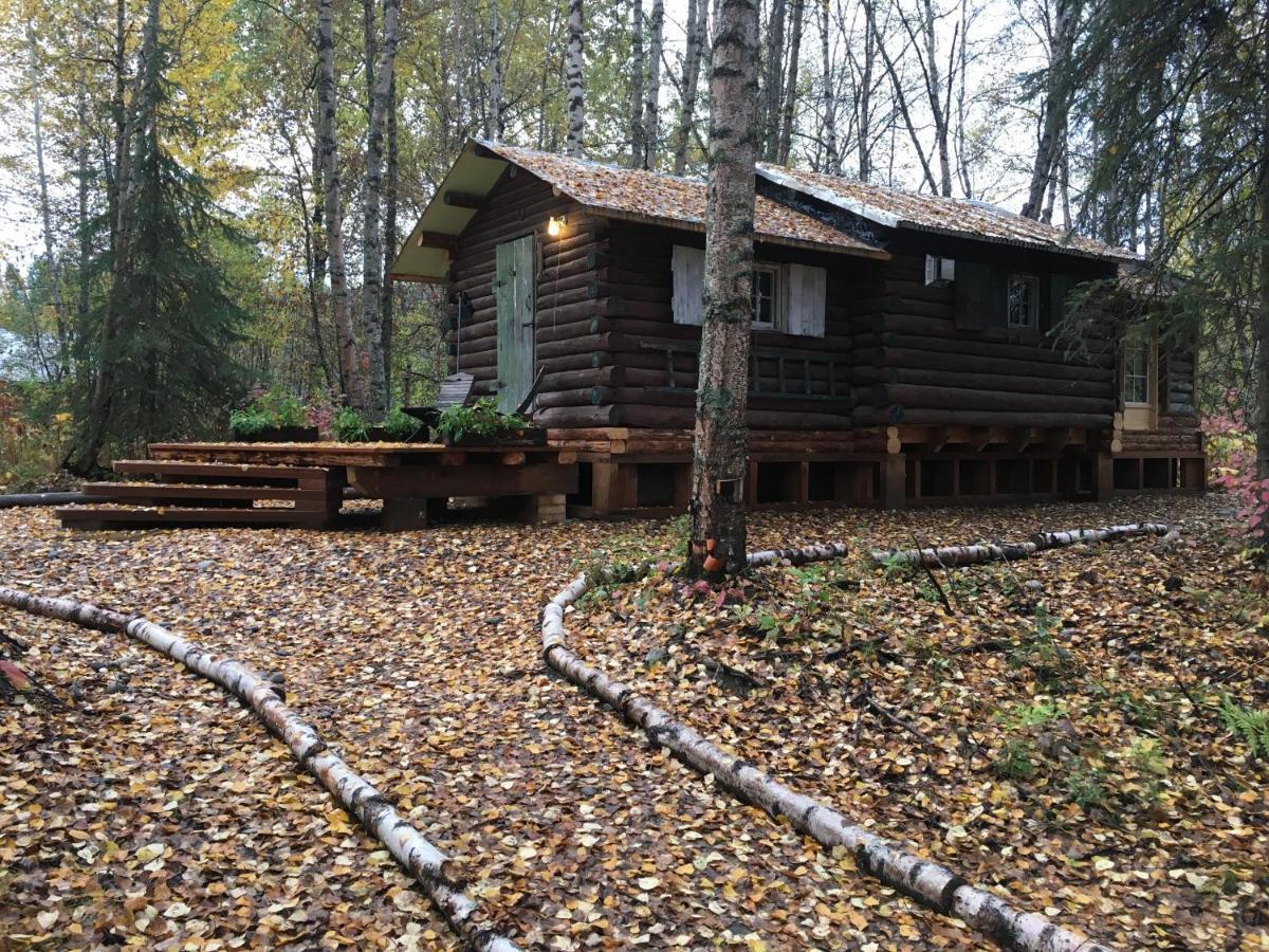 Trapper John'S Cabin & Cottages Талкитна Экстерьер фото