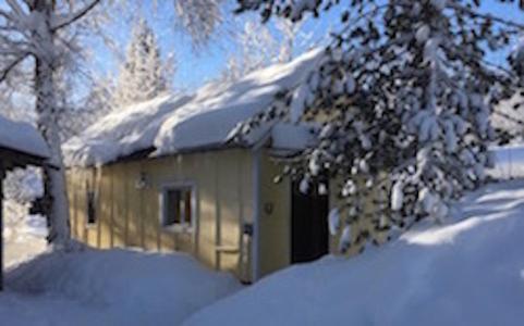 Trapper John'S Cabin & Cottages Талкитна Экстерьер фото